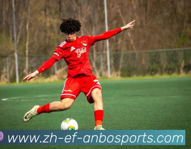 App Interface Preview