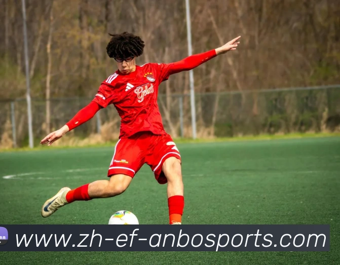 安博体育APP 封面图